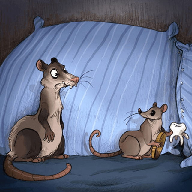 Frais d&#039;hébergement, par nuit